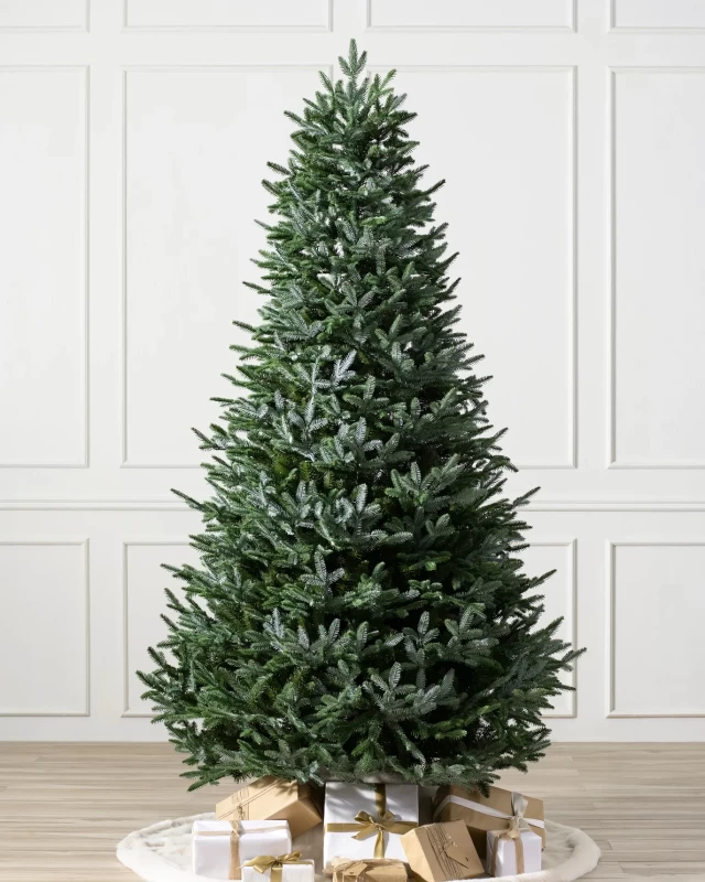 European Silver Fir Christmas Tree Lights Unlit
